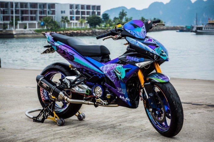 Top xe may Yamaha Exciter do dep nhat 2017 tai VN-Hinh-4